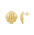 Puffy Sea Shell Studs
